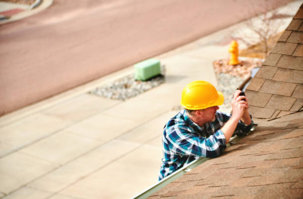 Best Roof Moss and Algae Removal  in Watertown, WI